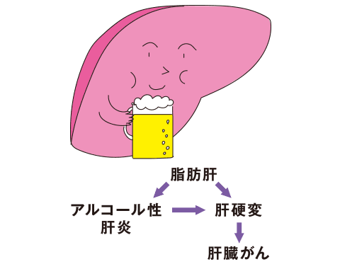 肝臓のイラスト